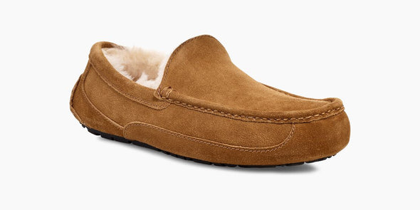 Men's Ascot Slipper