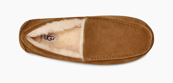 Men's Ascot Slipper