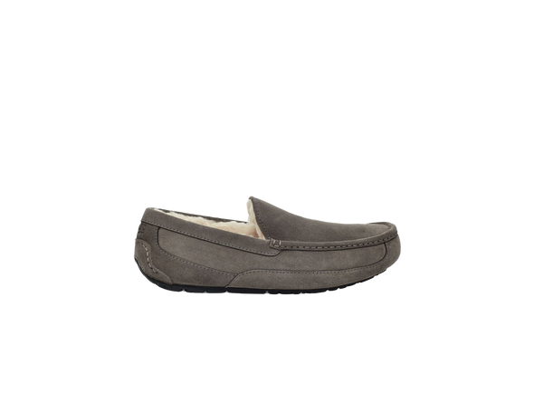 Men's Ascot Slipper