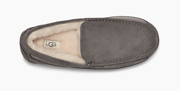 Men's Ascot Slipper